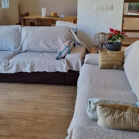 Agradable Casa Con Piscina Privada Y Jardin Villa Denia Kültér fotó