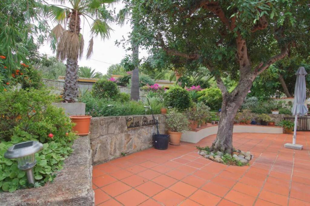 Agradable Casa Con Piscina Privada Y Jardin Villa Denia Kültér fotó